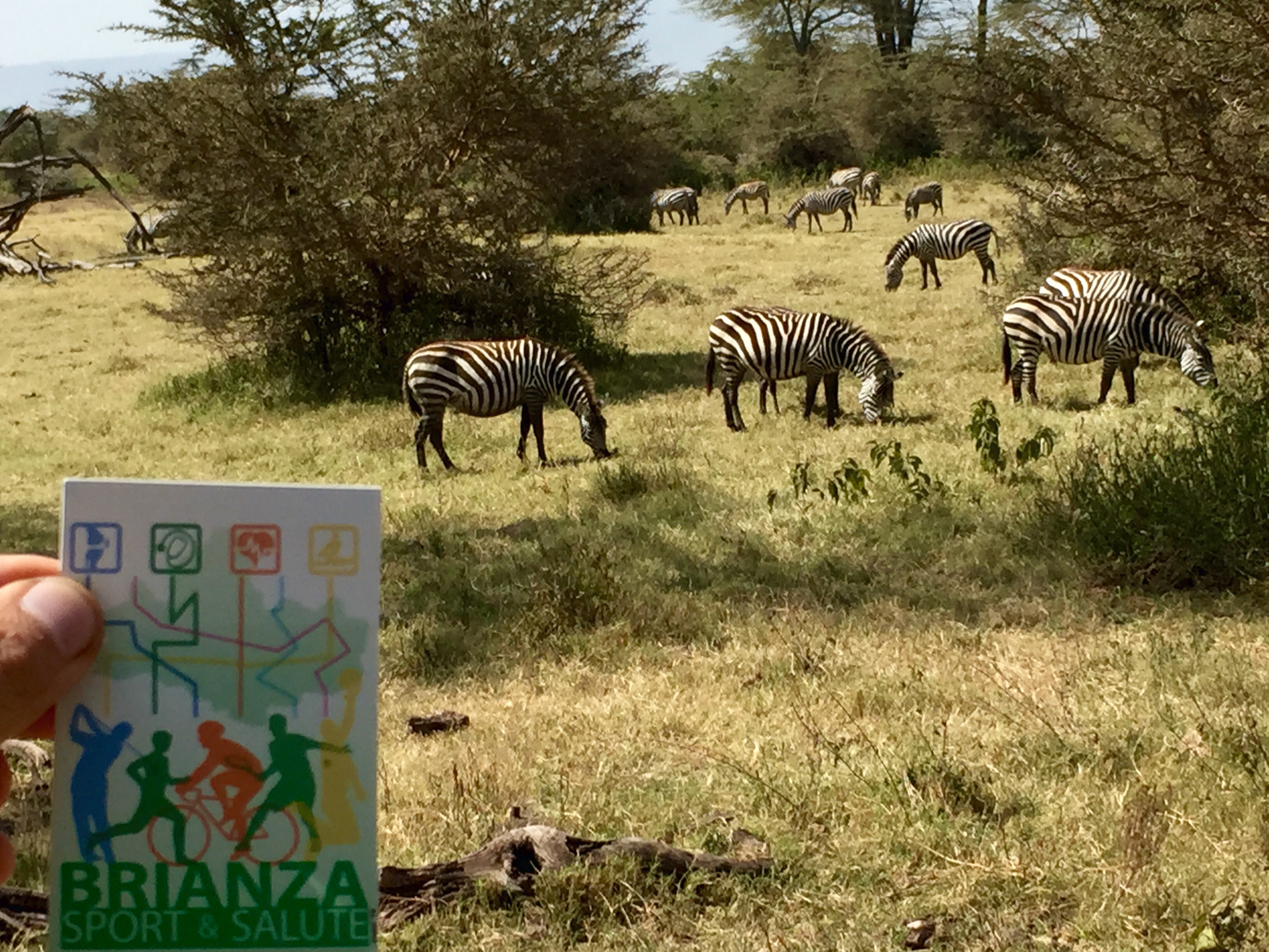 TANZANIA Ngorongoro
